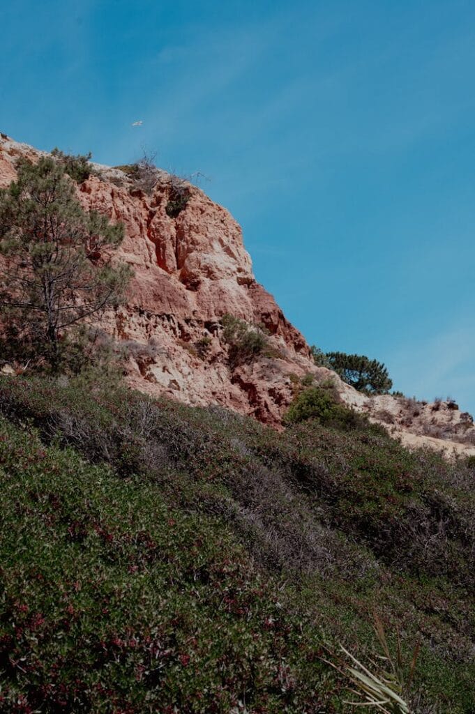 A picturesque cliff with lush green vegetation against a bright blue sky, ideal for nature enthusiasts.