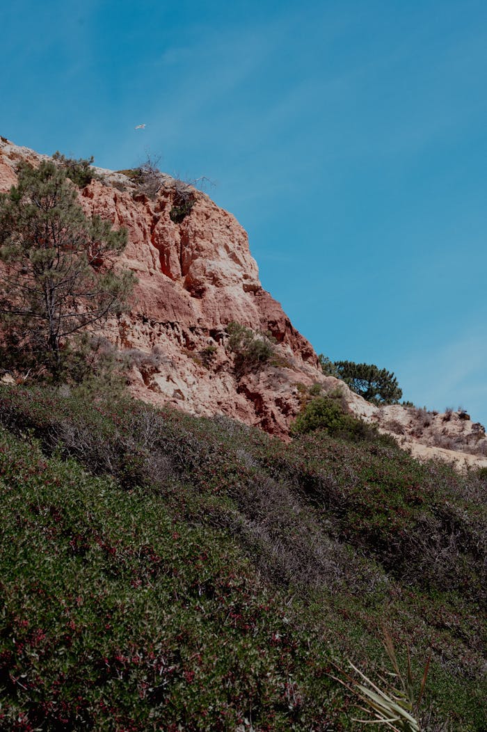 A picturesque cliff with lush green vegetation against a bright blue sky, ideal for nature enthusiasts.